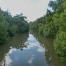Řeka Latorica ve stejnojmenné CHKO