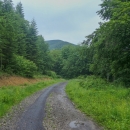 Přejezd Vihorlatu po cyklostezce, pozůstatek lesní úzkololejky.