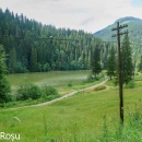 Lacul Roșu vzniklo v roce 1837 sesuvem půdy, která přehradila říčku Bicaz. Dodneška z něho trčí kmeny stromů.