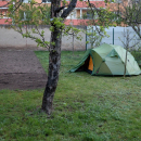 V Brně je již tradicí, že tam nocujeme ve stanech na zahradě