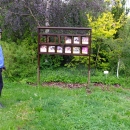 Včelařské arboretum je zaměřeno na zdroje včelí pastvy. Nejen včelaři se tu mohou seznámit s medonosnými rostlinami a stromy.