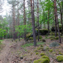 Skalky v přírodním parku Jesenicko, skoro jako v Českém ráji