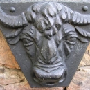 Hlava zubra - znak pánů z Pernštejna