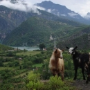 V albánských horách