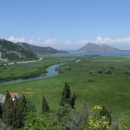 Okraj Skadarského jezera vypadá jak velký huňatý trávník