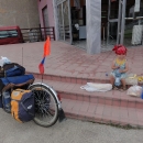 Šárka v Pljevlje slaví úspěchy - dostala podprdelník a banány