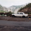Typický vozový park albánských silnic: osli, koně a mercedesy