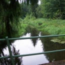 Zlatá Stoka - umělý kanál spojující třeboňské rybníky