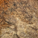 Stěny jeskyně dokazují, že byl Gotland kdysi dávno korálovým útesem