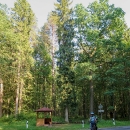 Běloruský park křižují špičkové asfaltové cesty a do nebe trčí staleté stromy.