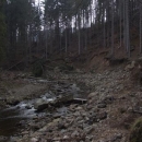 Následky povodní a polomů jsou na Černé patrné dodnes