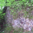 Hrad Dršťka - jediný pozůstatek zdi