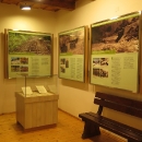 Před samotnou jízdou si můžeme prohlédnout malé muzeum věnované lesním železnicím na Oravě a Kysucích a zakoupit suvenýry