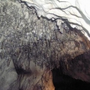 Maličké stalaktity brčka ve Sloupsko Šošůvské jeskyni