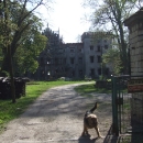 Dobra - ruiny zámku tady před turisty hlídá zlý pes. Tak si ho strčte někam... :-(