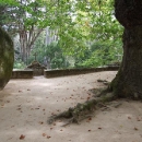 V lesním poustevnickém klášteře kapucínů