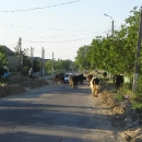 Moldavská večerní dopravní špička