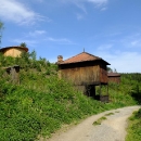 Vykácený les odkryl staré trampské chaty